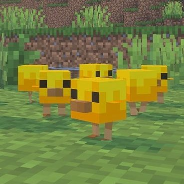 Spartix flock